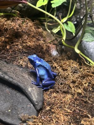 National Aquarium by null