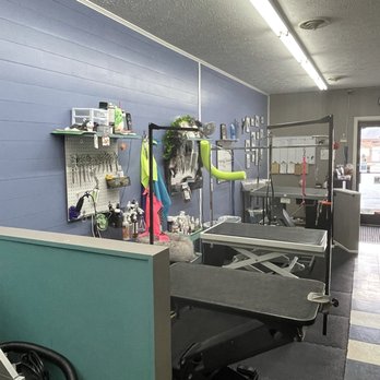 Calling All Paws - Pet Groomers Near Me - Kingsport, Tennessee