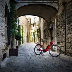 Sun-e-Bike