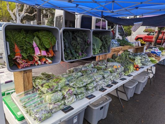Santa Barbara Farmers Market // Saturday by null