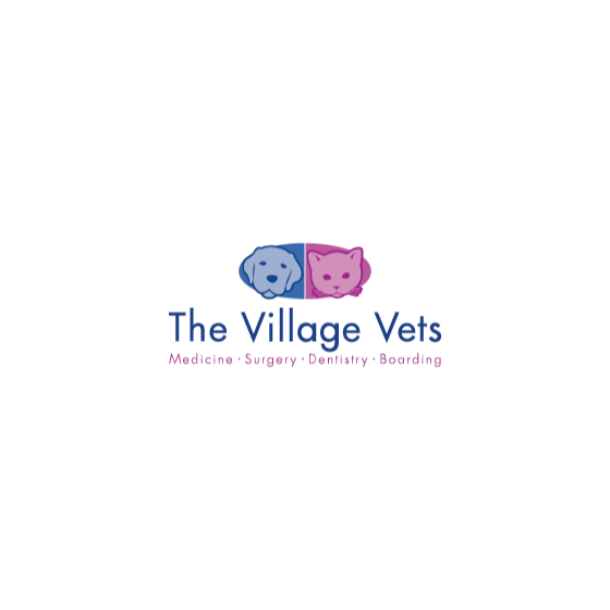 THE VILLAGE VETS DECATURPONCE Updated July 2024 245 W Ponce De