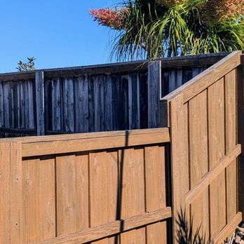 Monarch Painting  - Our fence looks brand new compared to when it looked exactly like the neighbors fence in the background. - Painters Near Me - Escondido, California