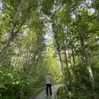 Narbeck Wetland Sanctuary - Well built walking paths throughout. - Parks Near Me - Everett, Washington Narbeck Wetland Sanctuary - Well built walking paths throughout. - Parks Near Me - Everett, Washington