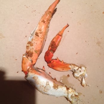 Crackpot Seafood Restaurant - We ordered and paid for jumbo crabs (on left) but were given mediums (on right). - Seafood Near Me - Baltimore, Maryland