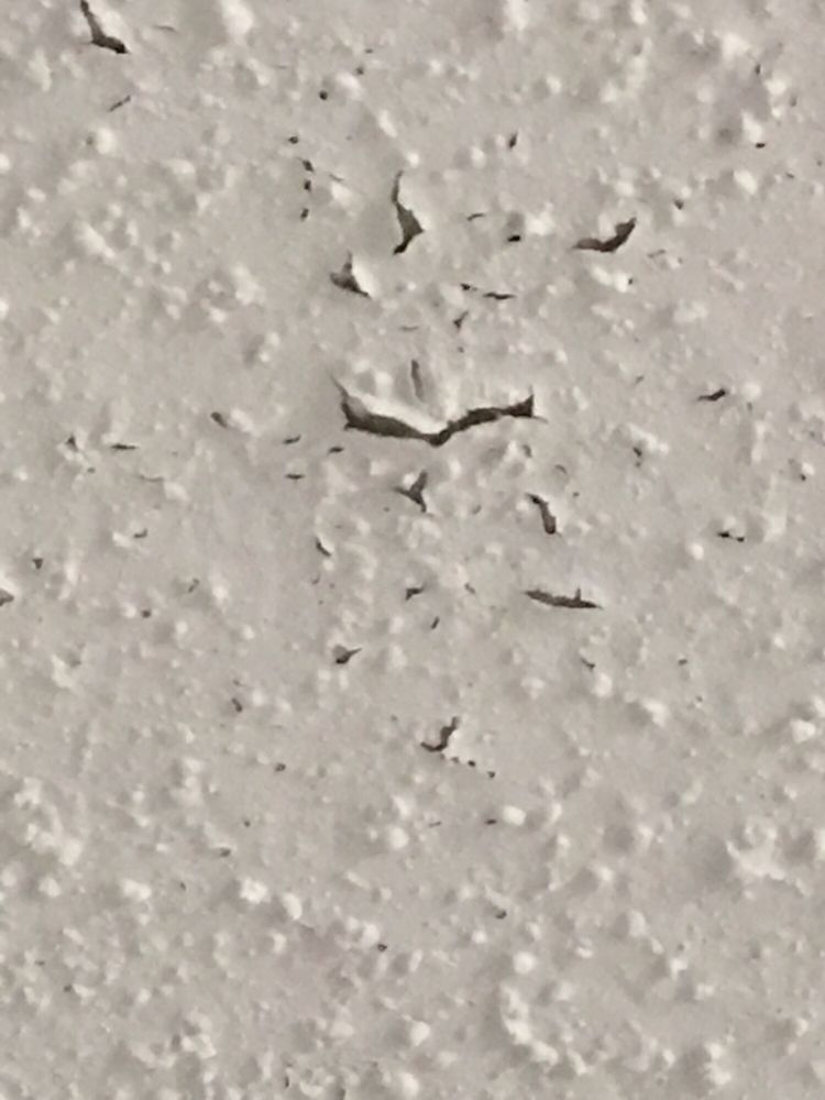 Slide of Texas Premier Roofing