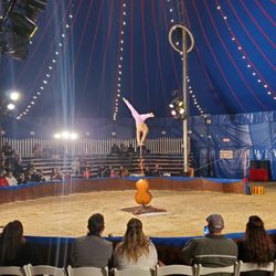 Zoppé circus - Acrobat on a cello