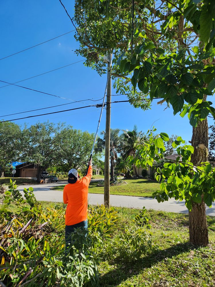 Slide of CHDO by Sunrise City