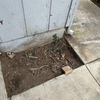 JMV Tree Service - Tree Services Near Me - Hayward, California