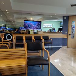 Curtis N  Kamisugi, DDS, MSD