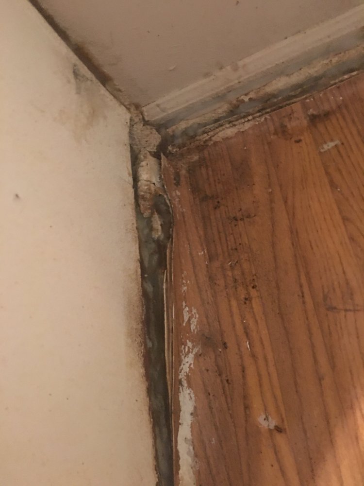 HIGHLAND VILLAGE APARTMENTS Updated July 2024 3890 E Ponce De Leon