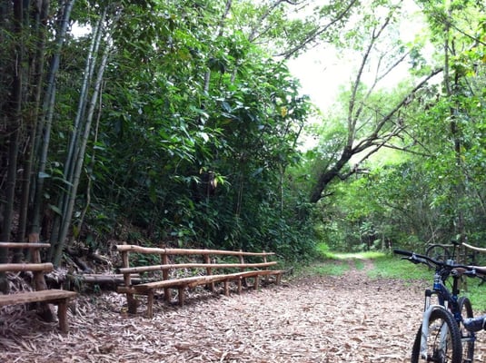 La Mesa Ecopark by null