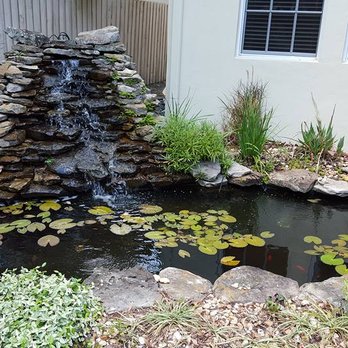 Tropaquatic - Landscape Architects or Designers Near Me - Clearwater, Florida Tropaquatic - Landscape Architects or Designers Near Me - Clearwater, Florida
