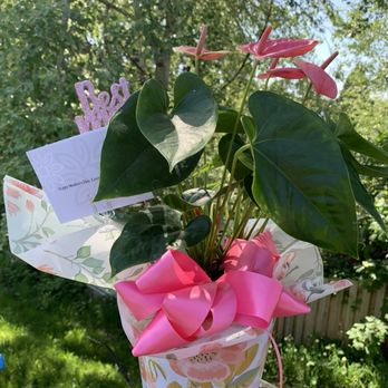 Avas flowers - What was delivered - Floral Designers Near Me Avas flowers - What was delivered - Floral Designers Near Me