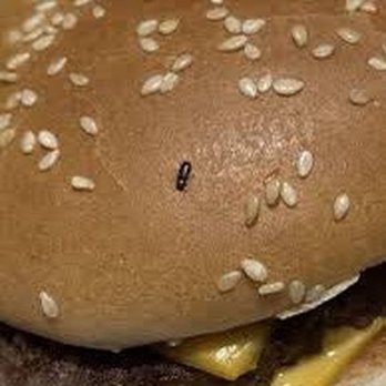 McDonald's - my pet :/ - Fast Food Near Me - New Haven, Connecticut McDonald's - my pet :/ - Fast Food Near Me - New Haven, Connecticut