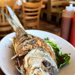Cayo Esquivel Seafood - Fried whole snapper