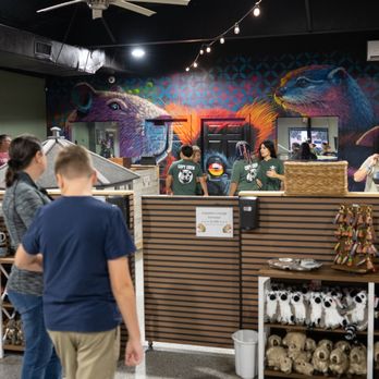 Capybara Cafe - Themed Cafes Near Me - St. Petersburg, Florida Capybara Cafe - Themed Cafes Near Me - St. Petersburg, Florida