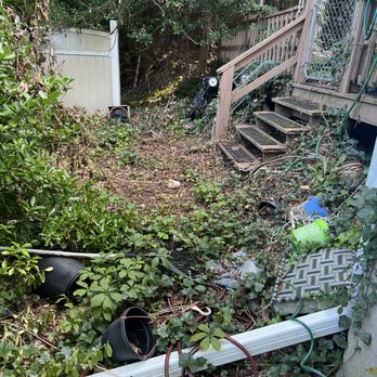 Jae Lawnscape And Bulk - Yard clean up/bulk trash removal (before) - Lawn Services Near Me