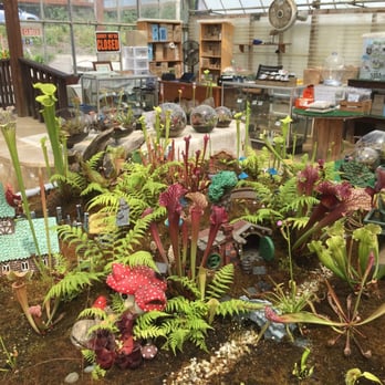 Pastorino's Flowers - Florists Near Me - Half Moon Bay, California