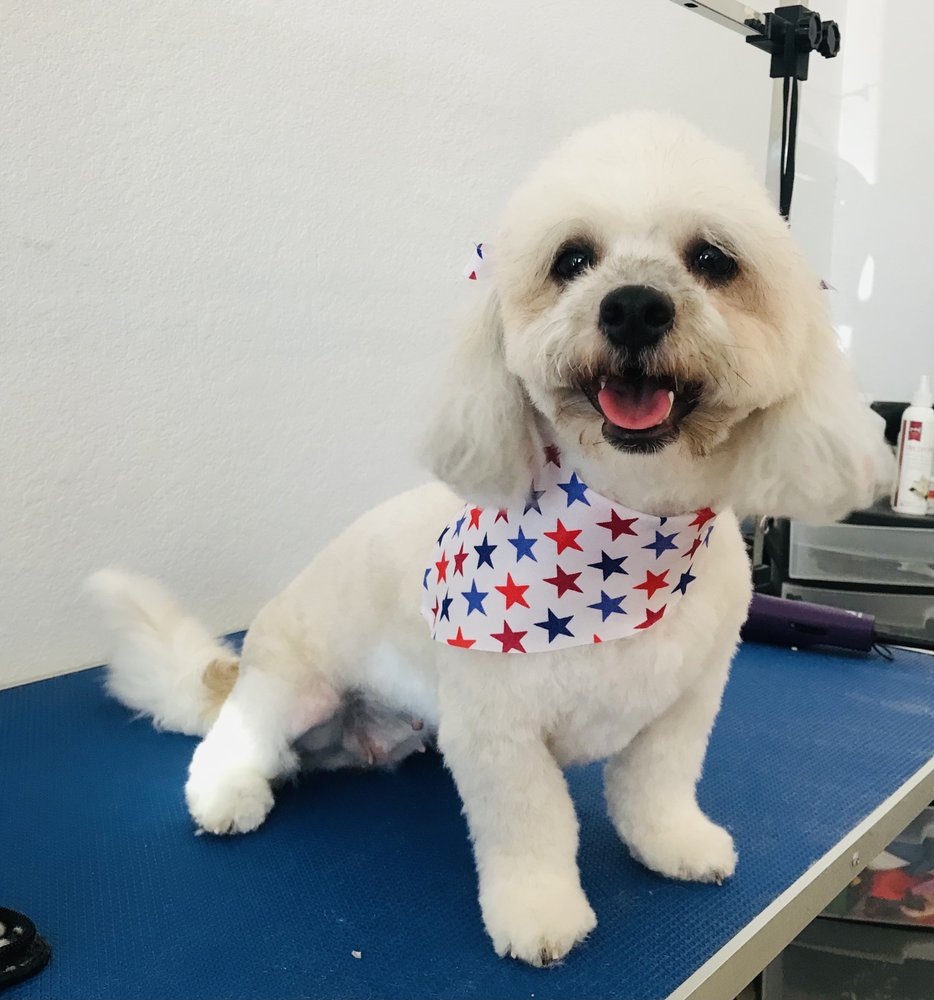 MRS & MR GUERRERO CUT & GO GROOMING SERVICES 3500 Mark Jason Dr, El