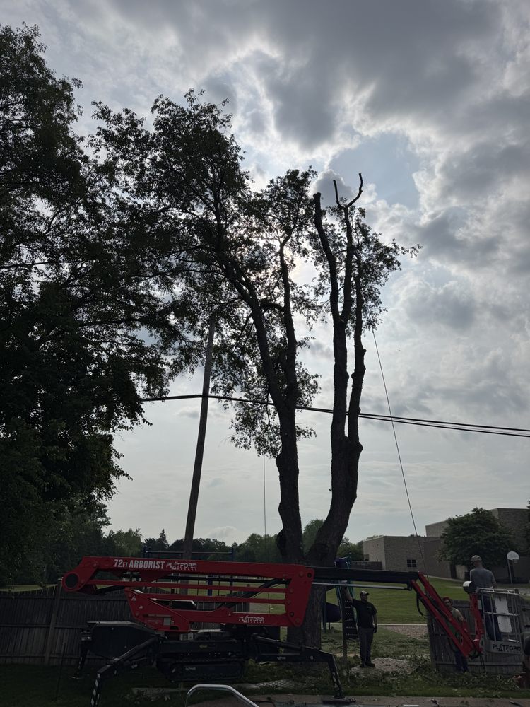 K & S TREE SERVICE - Updated February 2026 - 12 Photos & 14 Reviews ...