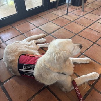 Maple House - Luna loves it - Coffee & Tea Near Me - Chandler, Arizona