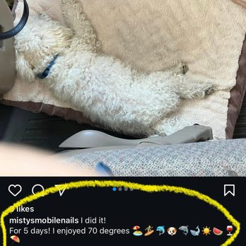 Mobile Nails by Misty - Mistys instagram on 7/12/24 - 6 days after my moms appt of her at the beach for 5 days with her dog. - Nail Salons Near Me Mobile Nails by Misty - Mistys instagram on 7/12/24 - 6 days after my moms appt of her at the beach for 5 days with her dog. - Nail Salons Near Me