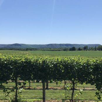 Elmaro Vineyard - Vineyard - Wineries Near Me - Trempealeau, Wisconsin