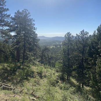 Elk Meadow Park - Dog Parks Near Me - Evergreen, Colorado