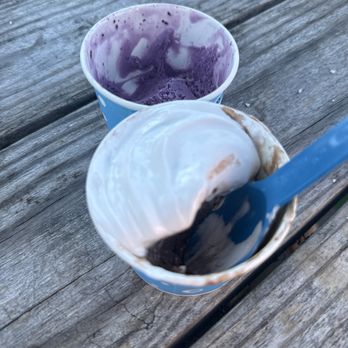 Wild Scoops - Ice Cream & Frozen Yogurt Near Me - Anchorage, Alaska Wild Scoops - Ice Cream & Frozen Yogurt Near Me - Anchorage, Alaska