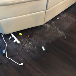 Where they did not clean under couch. Which was new since they started.