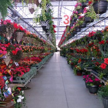 Posy Patch Greenhouse & Gift Shop - Gift Shops Near Me - Owen, Wisconsin Posy Patch Greenhouse & Gift Shop - Gift Shops Near Me - Owen, Wisconsin