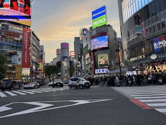 Shibuya Crossing by null
