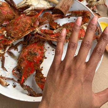 Mikes Crab House North - Small crabs!!!!!!! - Seafood Near Me - Pasadena, Maryland