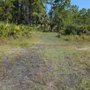 Photo of Pumpkin Hill Creek Preserve State Park