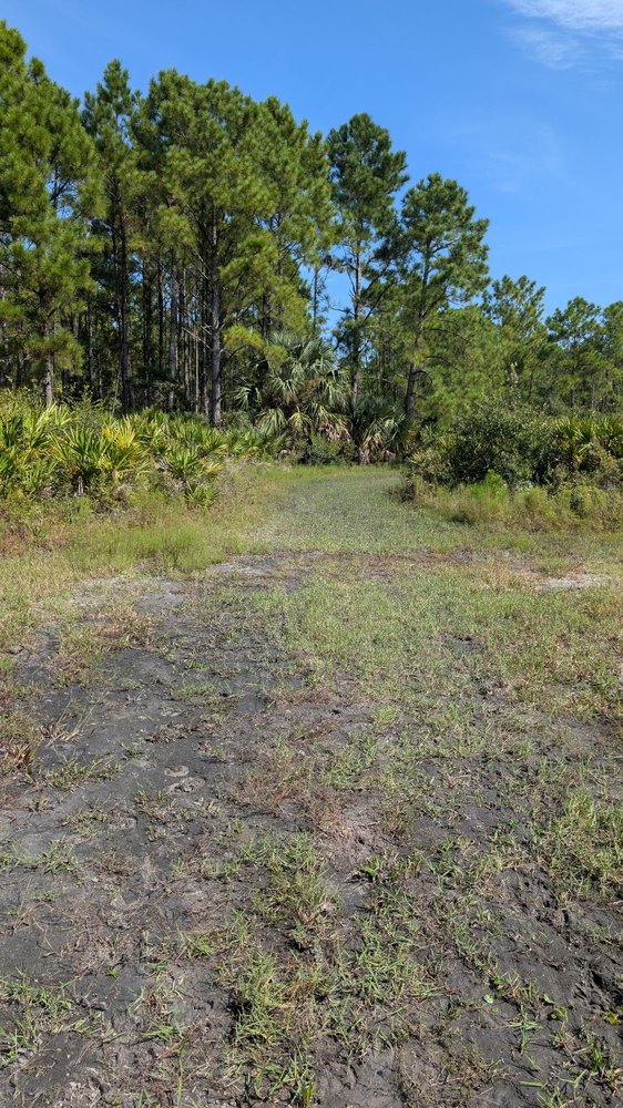 Pumpkin Hill Creek Preserve State Park Image