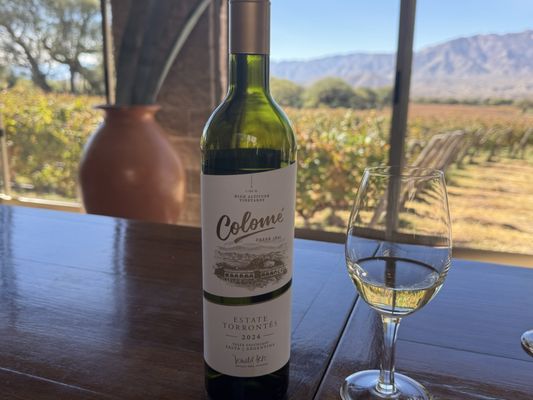 Colomé Winery by null