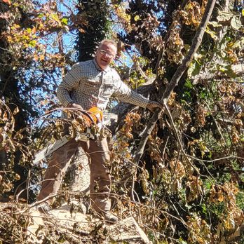 Sky Valley Trees - Tree Services Near Me - Arden, North Carolina
