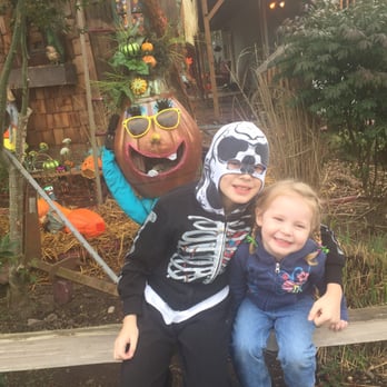 Craven Farm - The Craven Farm was cute and fun for little kids. We will probably check out one of the other farms next year but it was ok. - Venues & Event Spaces Near Me - Snohomish, Washington