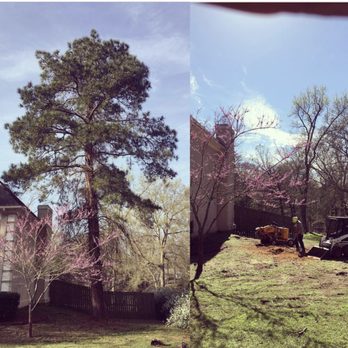 East Texas Lumberjacks - Removing trees near homes is one of our specialties! - Tree Services Near Me - Tyler, Texas East Texas Lumberjacks - Removing trees near homes is one of our specialties! - Tree Services Near Me - Tyler, Texas