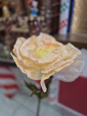 Sarris Candies by null
