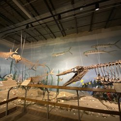 Glendive Dinosaur and Fossil Museum