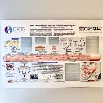 Carl Spivak, MD - Stem cell technology - Spine Surgeons Near Me - Newton, New Jersey