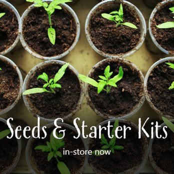 Junction Ace Hardware - starter kits in stock - Hardware Stores Near Me - Seattle, Washington