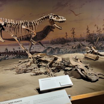 Royal Tyrrell Museum - Museums Near Me - Drumheller, Alberta Royal Tyrrell Museum - Museums Near Me - Drumheller, Alberta