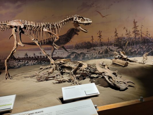 Royal Tyrrell Museum by null