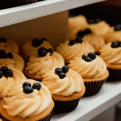 The Cupcake Couture