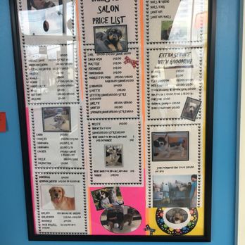 Bubbles and Barks - Pet Sitting Near Me - Tonawanda, New York