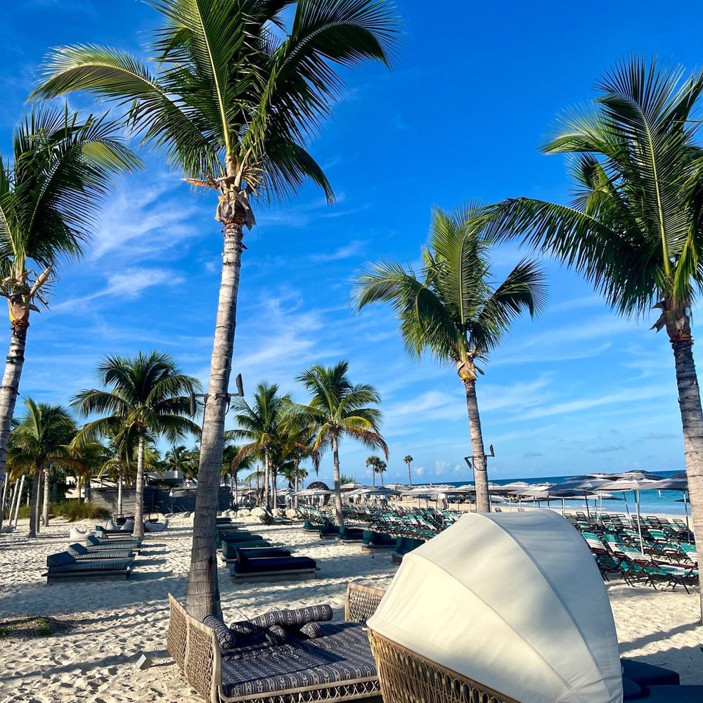 Wander Joy Vacations - Bimini Island, Bahamas - Travel Agents Near Me - Anaheim, California Wander Joy Vacations - Bimini Island, Bahamas - Travel Agents Near Me - Anaheim, California