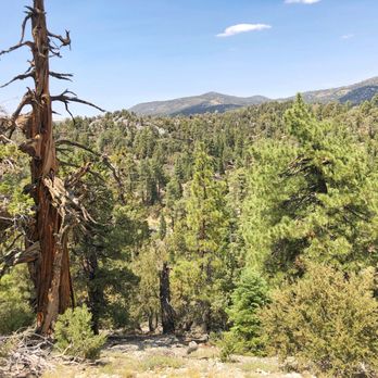 Big Bear Lake - Bertha Peak trail - Lakes Near Me