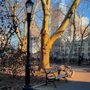 Photo of McLaughlin Park